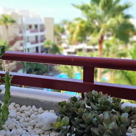 Panoramic Palmar Апартаменты *