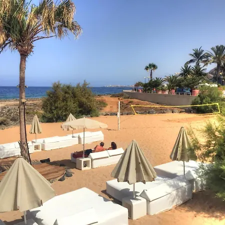 Panoramic Palmar