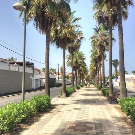 Panoramic Palmar